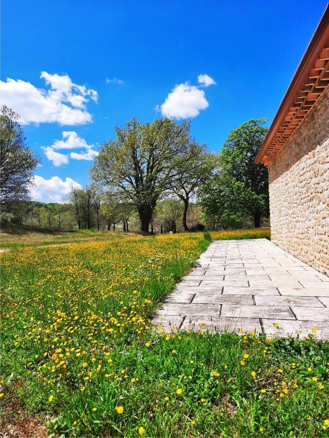 Le Marronnier Apartment Niozelles ภายนอก รูปภาพ