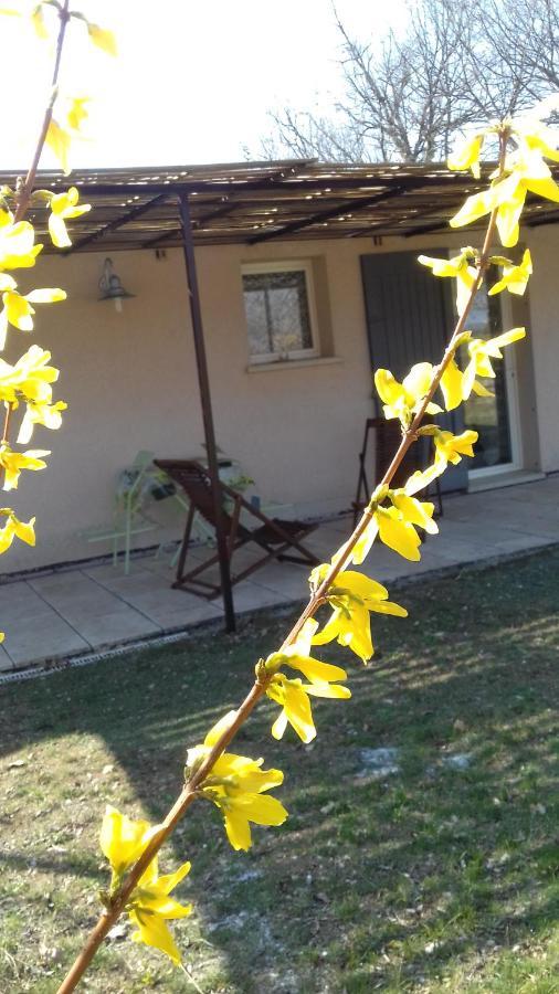 Le Marronnier Apartment Niozelles ภายนอก รูปภาพ