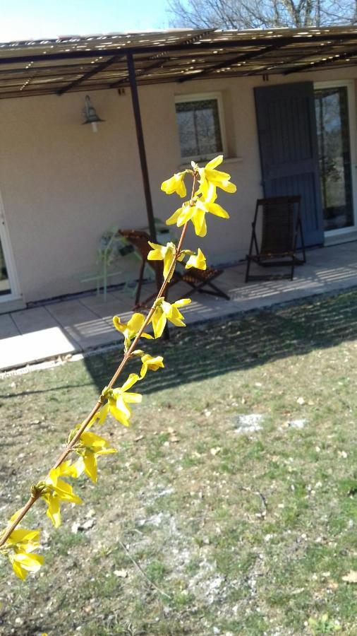 Le Marronnier Apartment Niozelles ภายนอก รูปภาพ