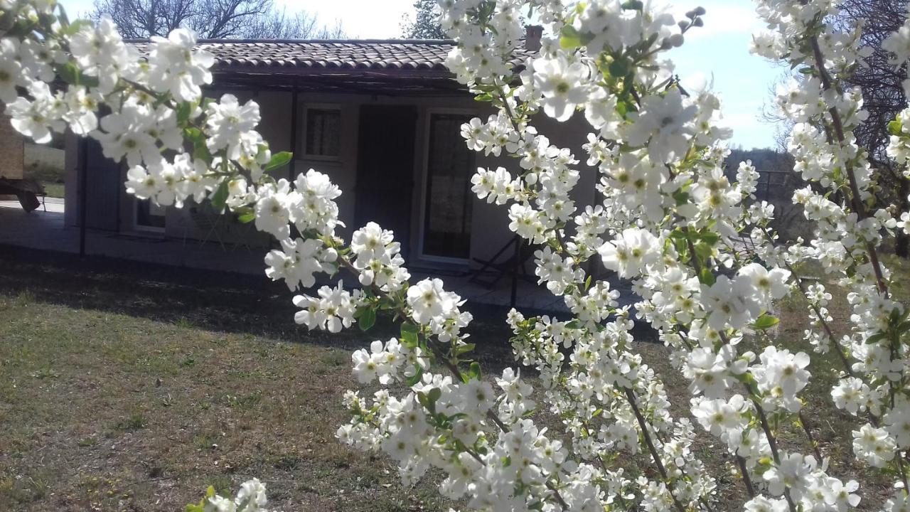 Le Marronnier Apartment Niozelles ภายนอก รูปภาพ